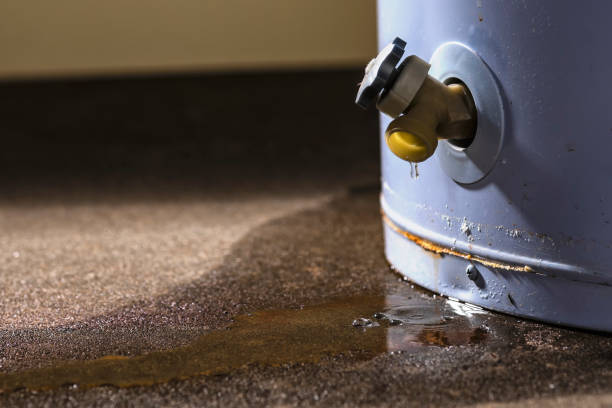 Best Carpet water damage restoration  in Wyboo, SC