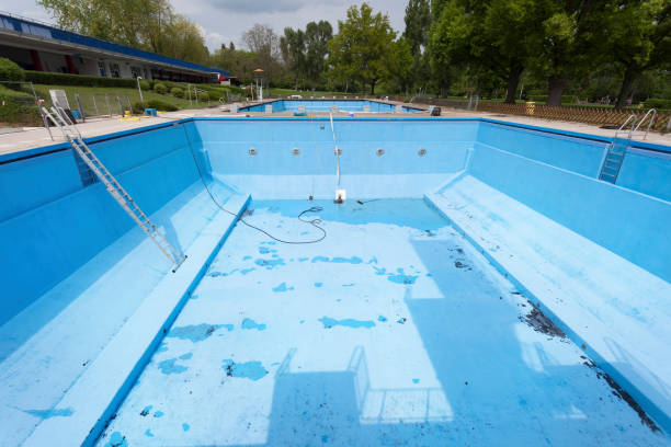 Best Basement water damage restoration  in Wyboo, SC