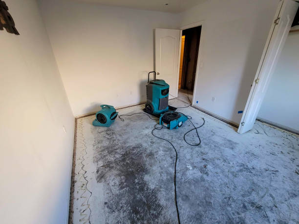 Best Sewage cleanup and water damage restoration  in Wyboo, SC