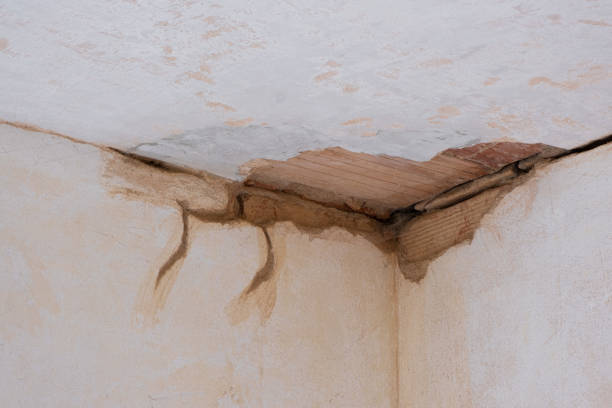 Best Water damage restoration near me  in Wyboo, SC