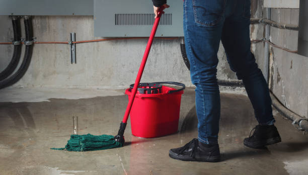 Best Water damage contractors near me  in Wyboo, SC