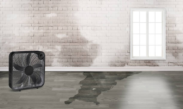 Best Flood restoration services  in Wyboo, SC
