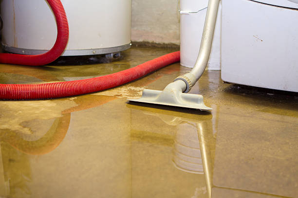 Best 24/7 water damage repair  in Wyboo, SC