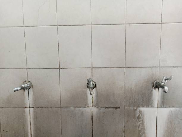 Best Commercial water damage restoration  in Wyboo, SC
