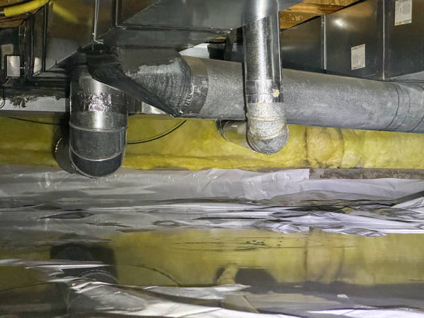 Best Flooded house restoration  in Wyboo, SC