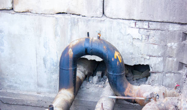 Best Mold removal after water damage  in Wyboo, SC